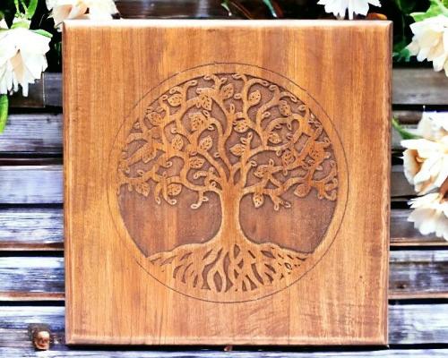 14132 14132 1 photoroom