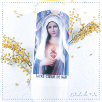 Neuvaine Sacré cœur de Marie