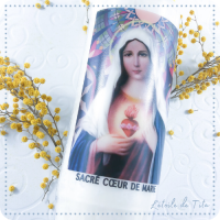 Neuvaine Sacré cœur de Marie