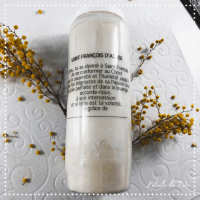 Neuvaine Saint François d'Assise