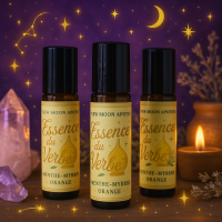 Chatgpt image 16 juin 2025 18 41 35