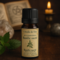 huile essentielle de basilic sacré