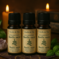 Chatgpt image 5 juin 2025 10 11 04