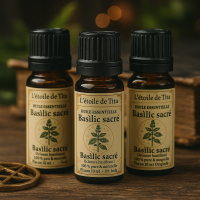 Chatgpt image 5 juin 2025 10 27 48