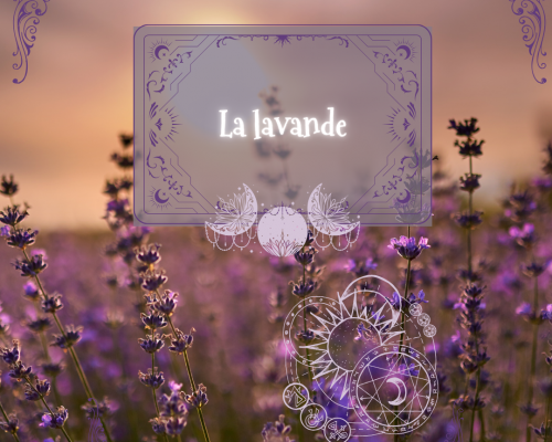 Copie de les runes wiccan video facebook 