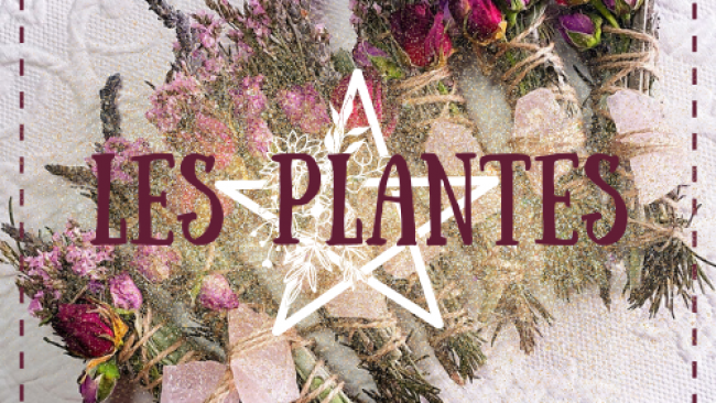 Les herbes & plantes