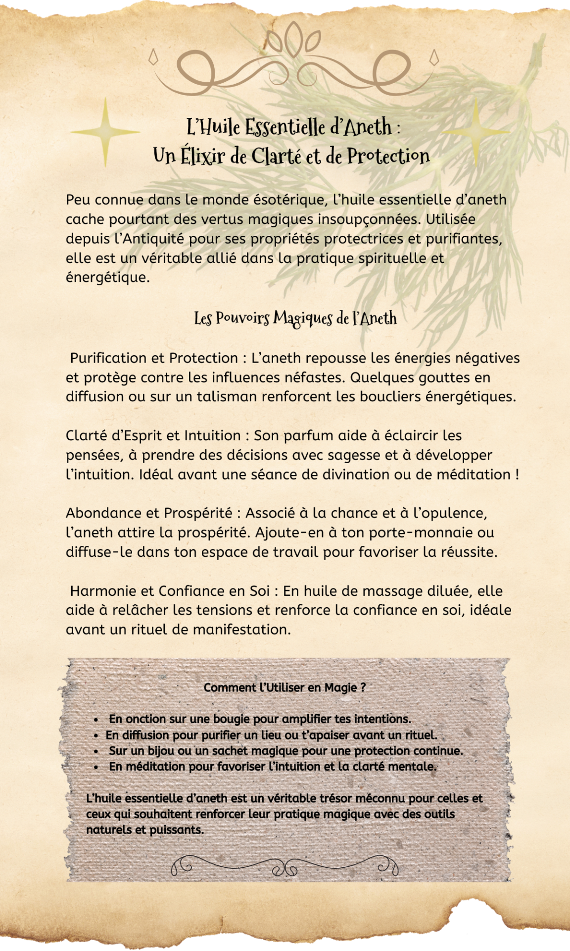 L huile essentielle d aneth un elixir de clarte et de protection peu connue dans le monde esoterique l huile essentielle d aneth cache pourtant des vertus magiques insoupconnees ut