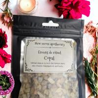 Pxl 20240209 143656569 mp photoroom