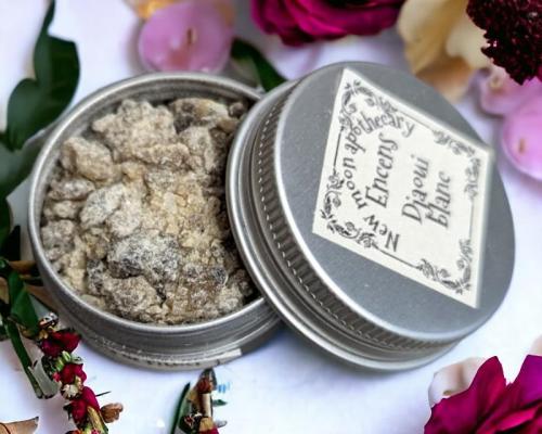 Pxl 20240209 151014635 mp photoroom