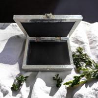 Pxl 20240419 172006588 mp photoroom