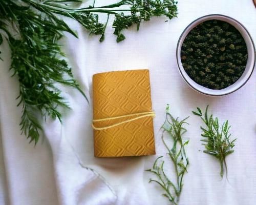 Pxl 20240425 095015437 mp photoroom