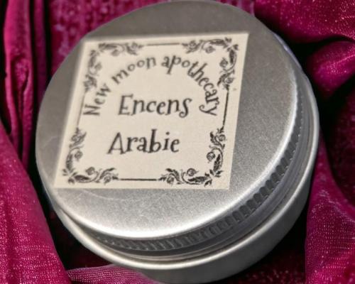 Pxl 20240429 080523892 mp photoroom