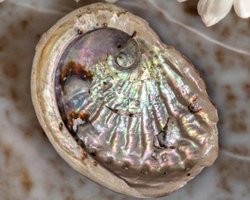 Pxl 20240612 135213135 photoroom