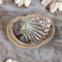 Pxl 20240612 135255290 photoroom