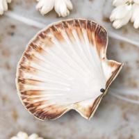 Pxl 20240612 141529411 photoroom