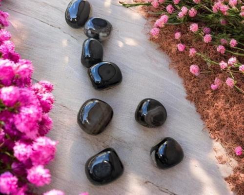 Pxl 20240829 135941931 photoroom