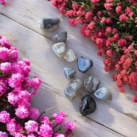 Pxl 20240829 142748934 photoroom