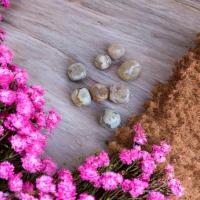 Pxl 20240829 142920735 photoroom