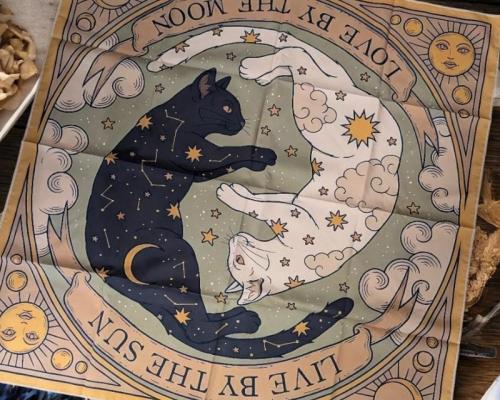 Pxl 20241120 093902528 mp photoroom