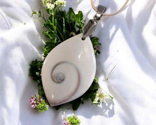 Pxl 20241129 101432114 mp photoroom