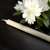 Pxl 20250109 155117297 mp photoroom