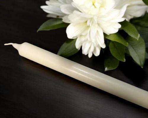 Pxl 20250109 155117297 mp photoroom