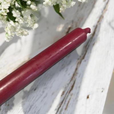 Pxl 20250110 094816952 mp photoroom