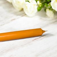 Pxl 20250110 094832795 mp photoroom