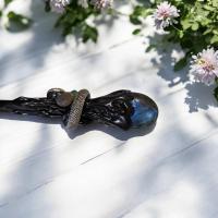 Pxl 20250210 150336409 mp photoroom